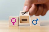 Toplumsal Cinsiyet Eşitliği ve Türkiye Yansımaları
