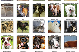 DCGANs — Generating Dog Images with Tensorflow and Keras