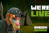 The Baboon Brigade is LIVE!