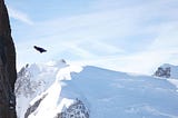 A professional wingsuit pilot just after base-jumping