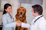 Communication in Veterinary Medicine
