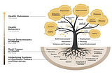 Going Past Social Determinants to Root Causes