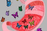 Unraveling the Mystery of "Butterflies in the Stomach"