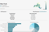 New York State Data for HealthCare Transactions by Healthtrace.io