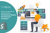 What are the Benefits of Working with a Professional Shopify Development Company?