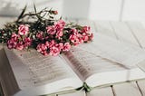 Beams & Blooms