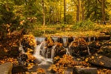 A forest stream gathers fall leaves in its waterfall over rocks.