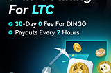 What is Dingocoin (DINGO)? How to Mine Dingocoin (DINGO)?