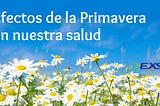 Efectos de la Primavera en nuestra salud