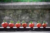 Seven tomatos aligned to represent the Pomodoro Technique