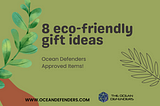 8 Eco-Friendly Christmas Gift Ideas