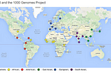 Contrasting X-Linked and Autosomal Diversity across 14 Human Populations: a brief review