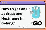 How to get IP and Hostname in Golang and Java