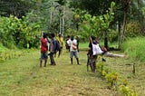 Will the Glasgow declaration on forests succeed where New York failed?