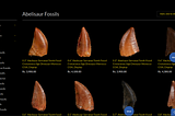 Discover Rare Abelisaur Fossils with Fossil Age Minerals — Unearth Prehistoric Wonders Today!