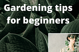 Gardening Tips for beginners