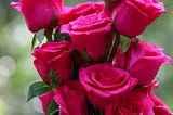 Benefits of Flowers