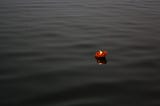 Elegy for the People of India