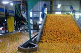 Limits to Growth in the Agro-processing Sector