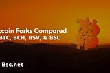 Bitcoin Forks Compared