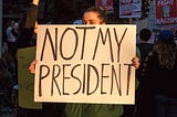 Not My President Day Protests