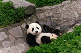 Optimizing your Pandas, when you run out of scale