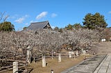 京都仁和寺：宇多法皇的皇家寺院與政治鬥爭