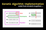 Genetic Algorithm Implementation: Code from scratch in Python