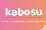 KABOSU — Charity redefined