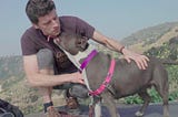 A Hike For Pit Bulls In Griffith Park, Los Angeles