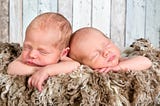 twin babies