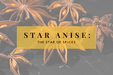Star Anise: The Star of Spices