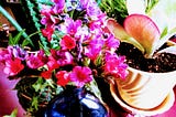 May Gifts and Soft Sweet Promises For You