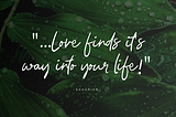 Love finds it’s way into your life