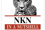 NKN In A Nutshell: A Blockchain Powered Communication Network
