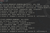 Stateful Connection With Spoofed Source IP — NetImpostor