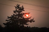 a dark sky with a red sun showing behind a tree