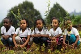 Pourquoi Panopli rejoint 1% For The Planet ?