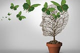 Creating a Ripple Effect: How the Social Sector Can Lead on Mental Health
