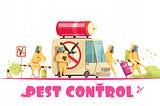 A Pest Control Professional Wants You To Be Happy!