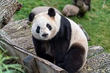 What’s new in pandas 2.1