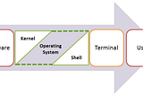 WHAT HAPPENS WHEN LS -L IS EXECUTED IN THE SHELL?