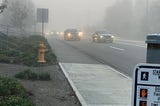 Foggy Morning Memories