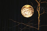 A globe light hung to look like the moon, illuminating a bare tree.