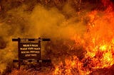 Earth overshoot day 2020: It’s getting hot in here — start speeding up the action!