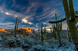 A desert full of cacti covered in snow with big rock formations in the background