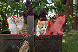 Create Your Own Dataset for Instance Segmentation
