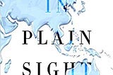 Water in Plain Sight by Judith D Schwartz