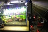 Simple Aquarium Feeder