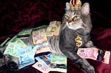 Rich cat